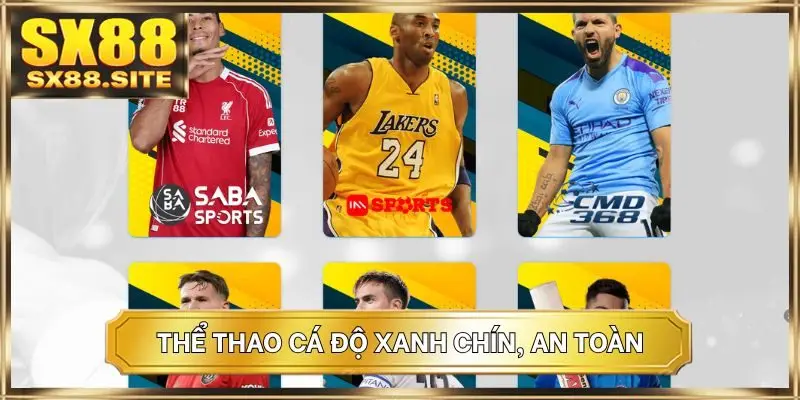 Thể thao cá độ xanh chín, an toàn