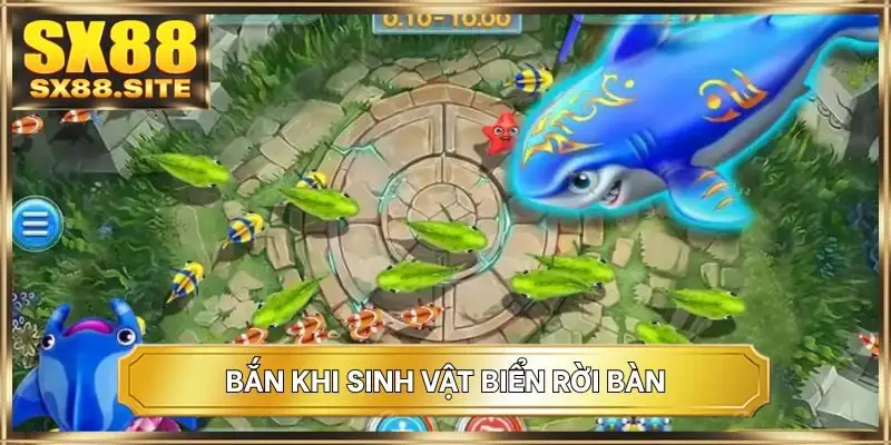 Bắn khi sinh vật biển rời bàn