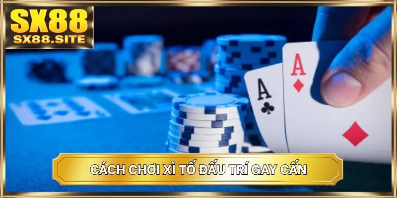 Cách chơi xì tố đấu trí gay cấn