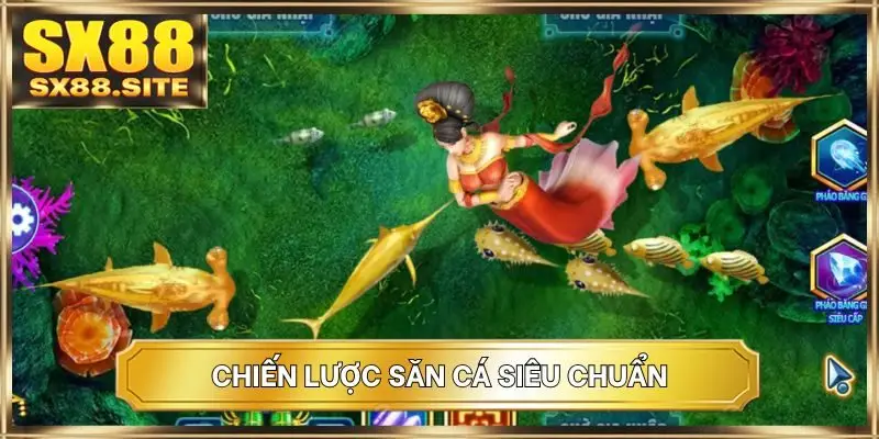 Chiến lược săn cá siêu chuẩn