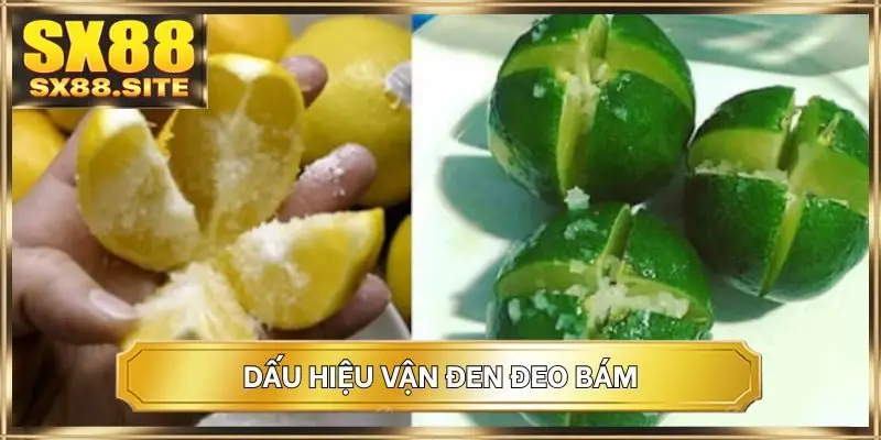 Dấu hiệu vận đen đeo bám