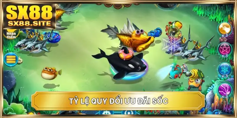 Tỷ lệ quy đổi ưu đãi sốc